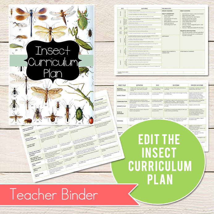 Insect-Curriculum-Plan-3