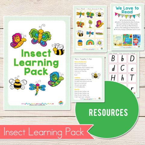 Insect Resource Pack